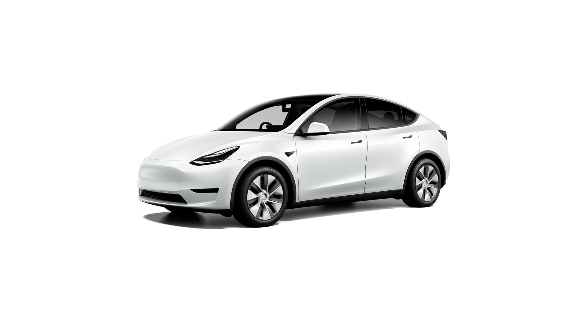 Model Y Rear Wheel Drive 2022